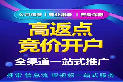 SEM推广策略：成功案例分享与优化技巧